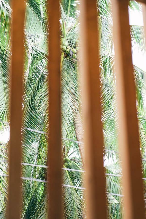 Апартаменты Diwa Siargao Eco-House Генерал-Луна Экстерьер фото
